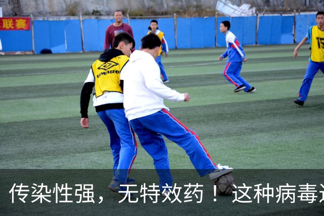传染性强，无特效药 ！这种病毒进入高发季