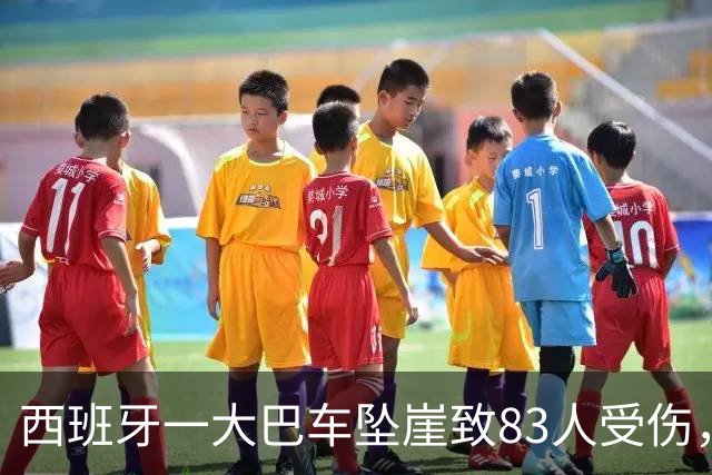 西班牙一大巴车坠崖致83人受伤，中国游客未能挤上车躲过一劫，当事人：当天正在事发地徒步，事发后在山顶等待了5个半小时才平安下山