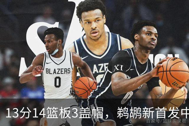 13分14篮板3盖帽，鹈鹕新首发中锋首秀交出两双